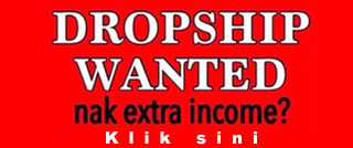 Dropship Wanted